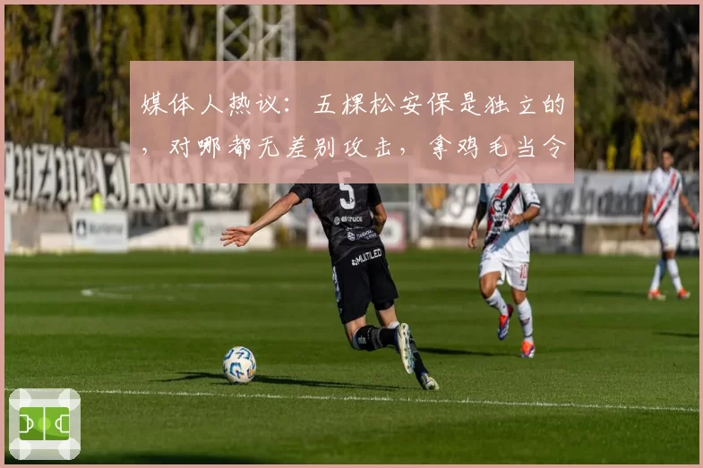 媒体人热议:五棵松安保是独立的,对哪都无差别攻击,拿鸡毛当令箭