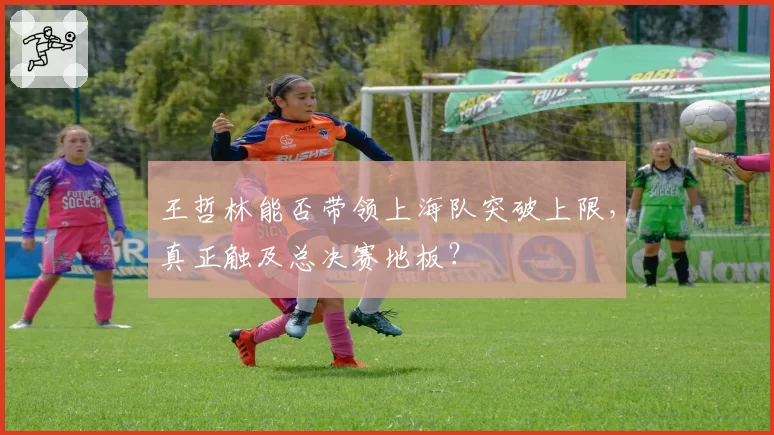 王哲林能否带领上海队突破上限，真正触及总决赛地板？