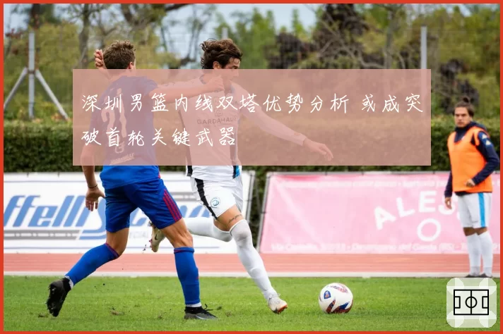 深圳男篮内线双塔优势分析 或成突破首轮关键武器